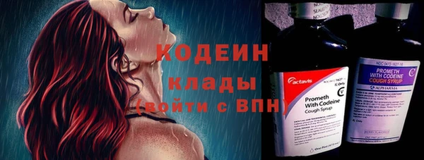 дживик Пестово