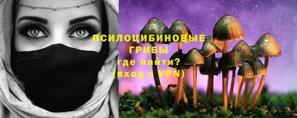 дживик Пестово