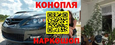 крисы Беслан