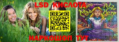 крисы Беслан