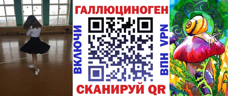 хочу Выборг Псилоцибиновые грибы Psilocybine cubensis