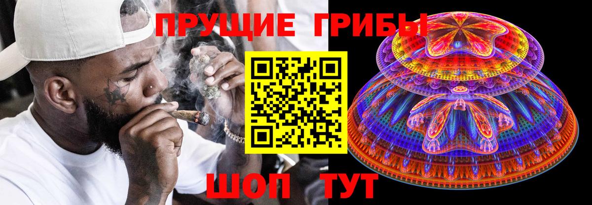 Выборг  Галлюциногенные грибы Cubensis  Галлюциногенные грибы Psilocybine cubensis  Вход с VPN 