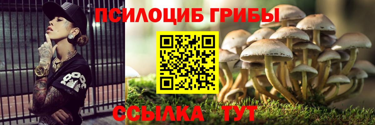 Галлюциногенные грибы Psilocybe Выборг