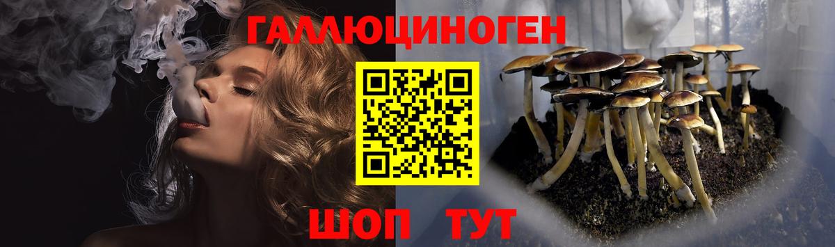 купить наркотик  Псилоцибиновые грибы Psilocybine cubensis  Выборг  Галлюциногенные грибы Cubensis 